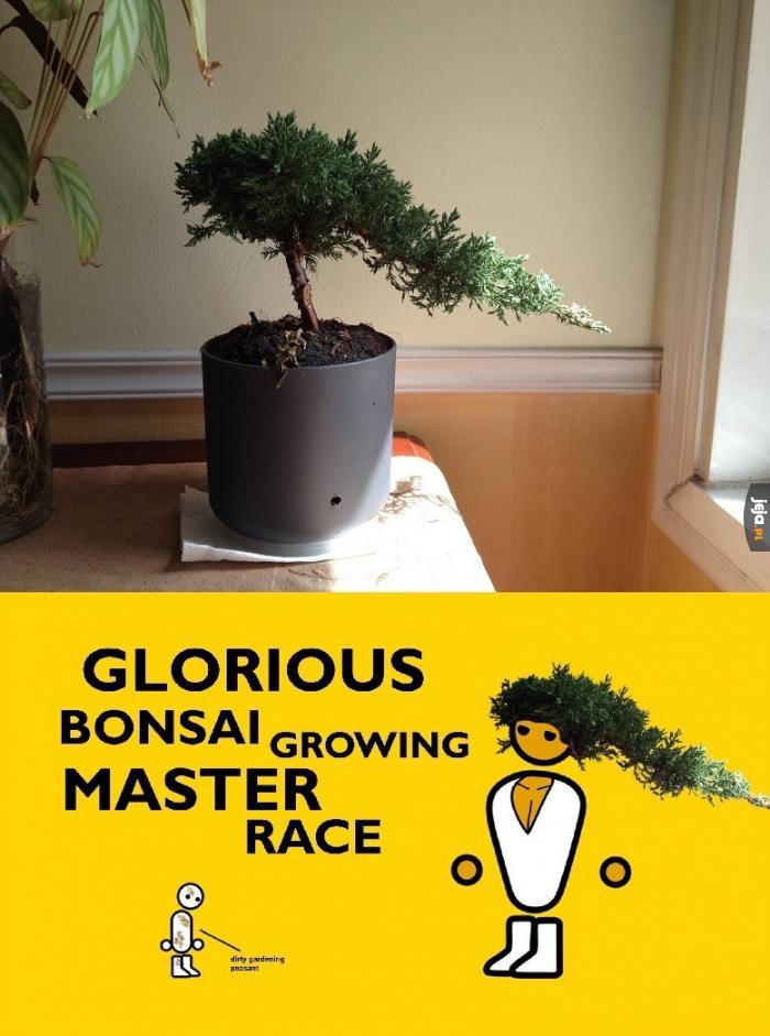Glorious Bonsai Masterrace!