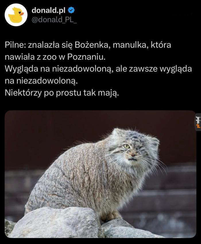 Dobre wieści