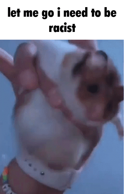 Jejacy