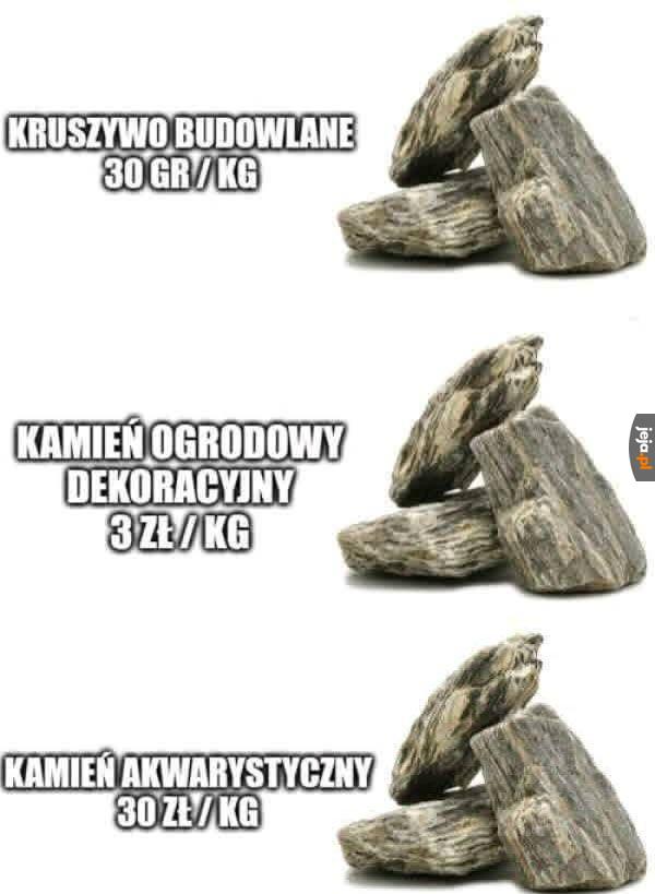 Jedno i to samo