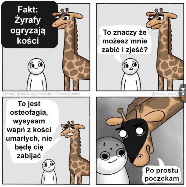 Mają czas