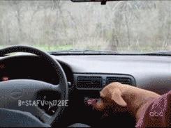 Dopadnę je!