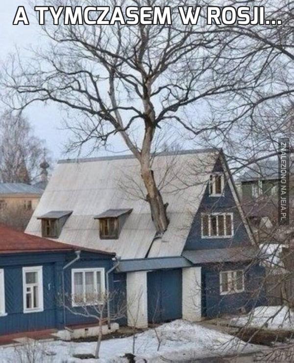 A tymczasem w Rosji...