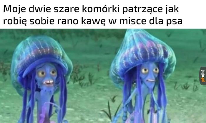 Jeszcze się nie obudziłem