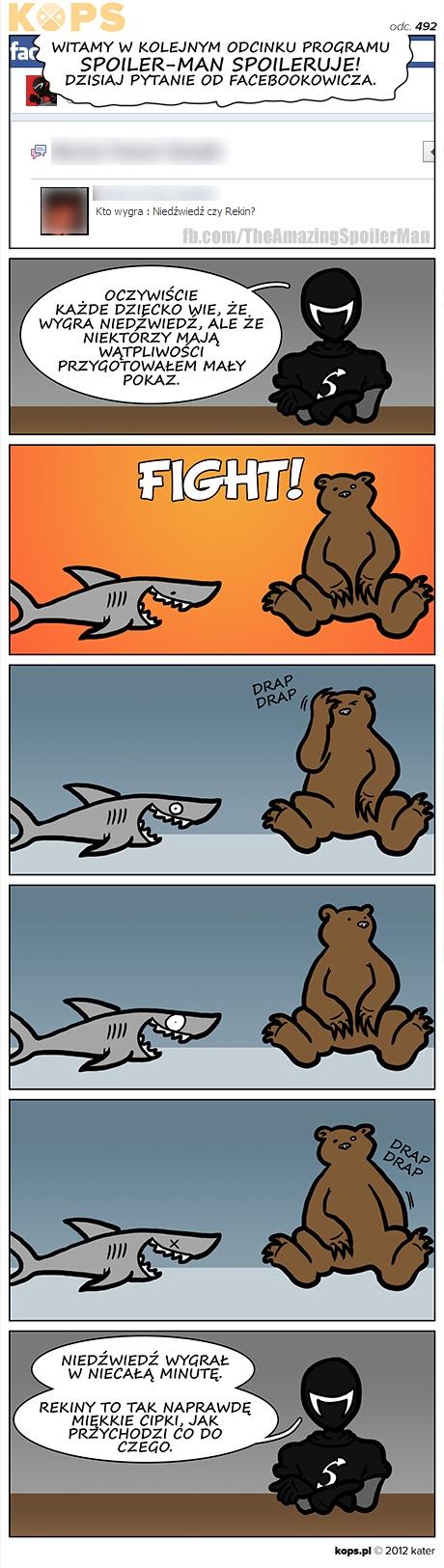 Niedźwiedź kontra rekin