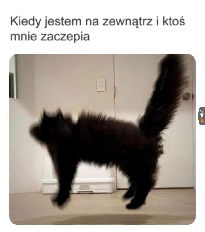 Muszę trochę wyluzować