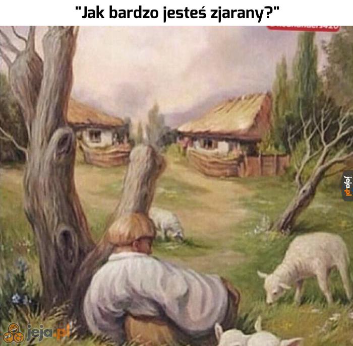 To chyba znaczy, że bardzo