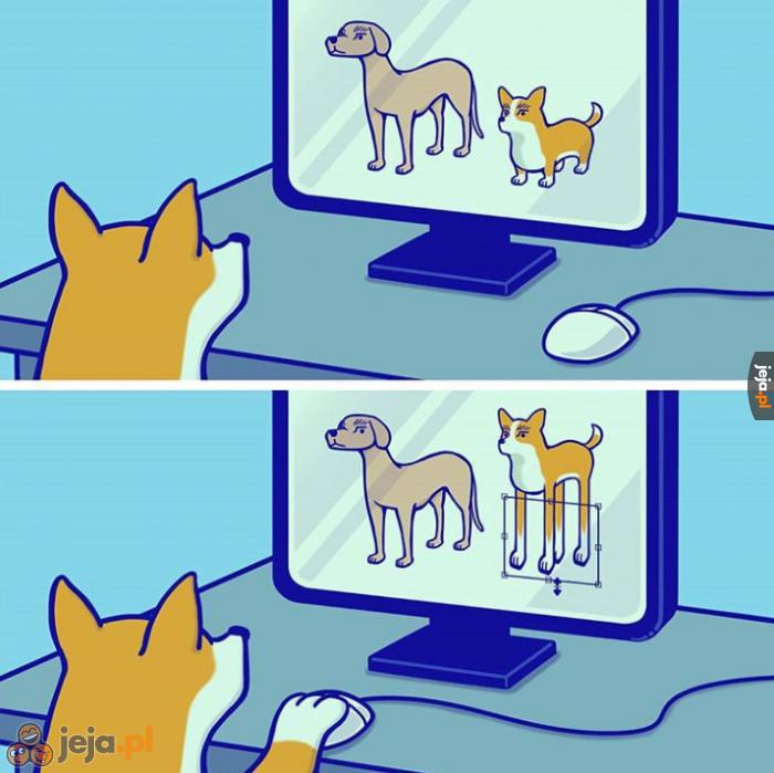 Photo-dog