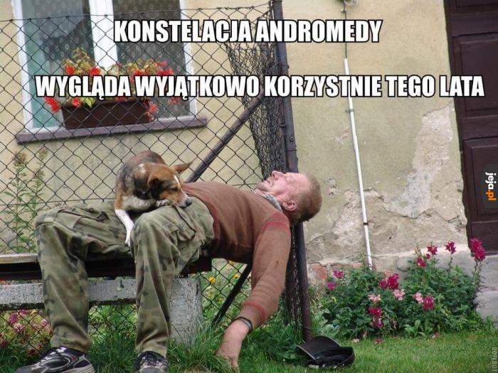 Astrologiczna prognoza