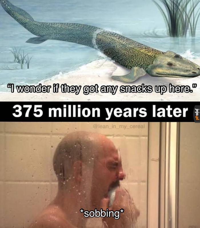 To był błąd