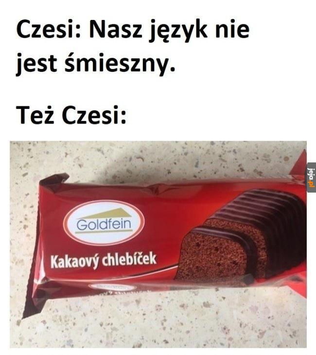 Język Czeski