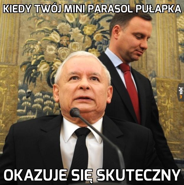 Zaskakująca skuteczność