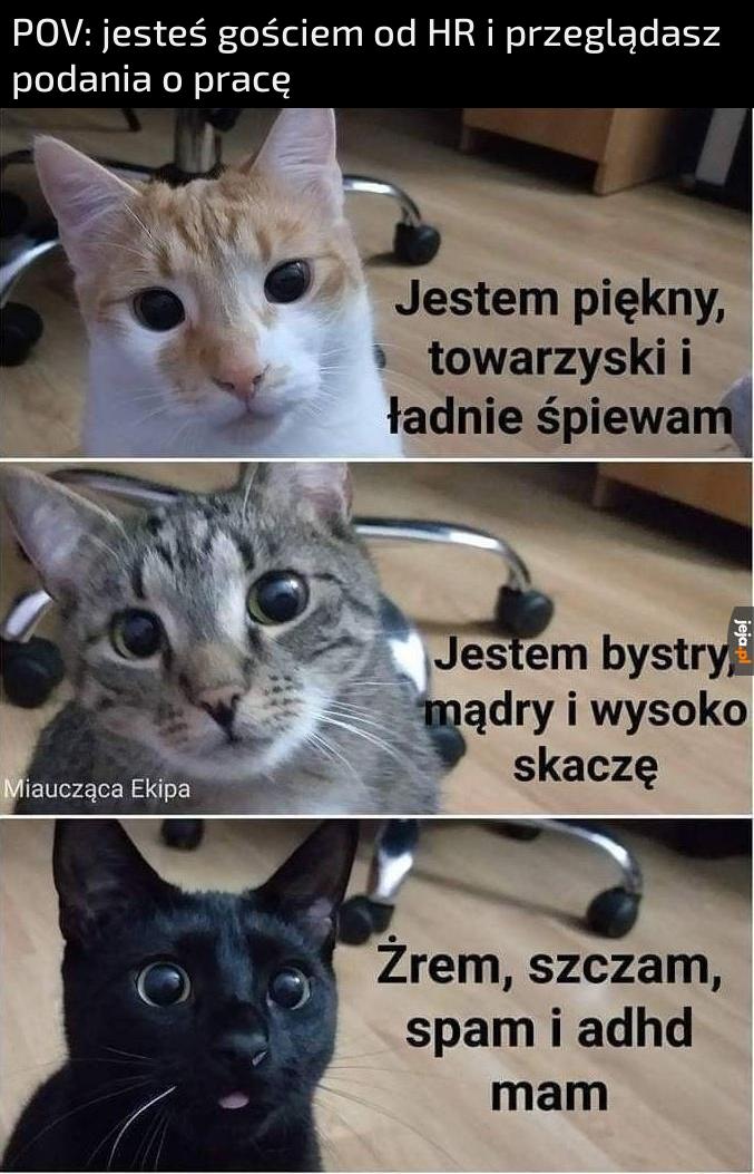 RIP ludzie bez doświadczenia