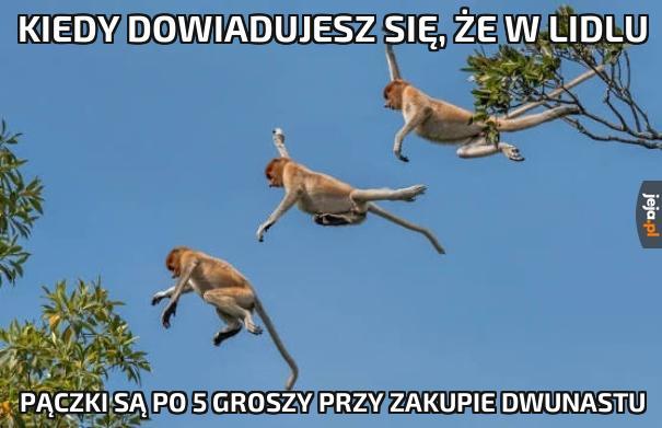 Bierzemy cały zapas