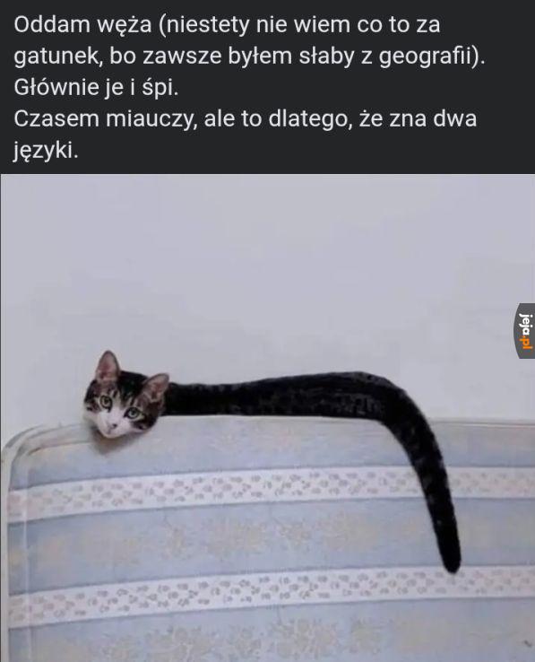 Ciekawe czy jadowity