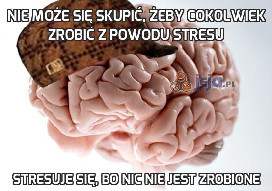 Nie może się skupić, żeby cokolwiek zrobić z powodu stresu