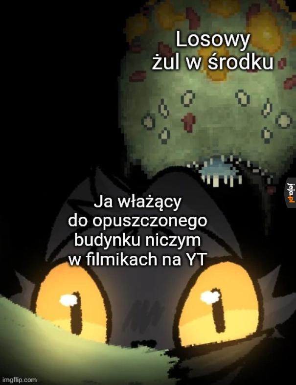 No japi*rdole, powinno wyjść inaczej