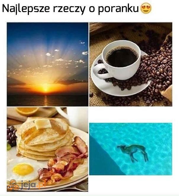 I już wiesz, że to będzie dobry dzień