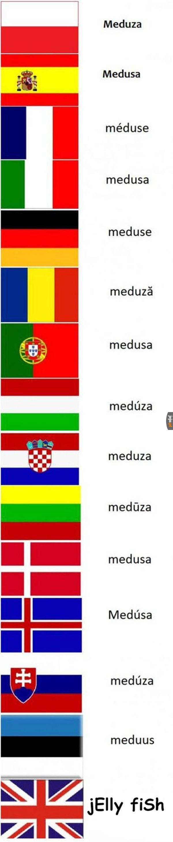 W sumie bliżej jej do galaretki