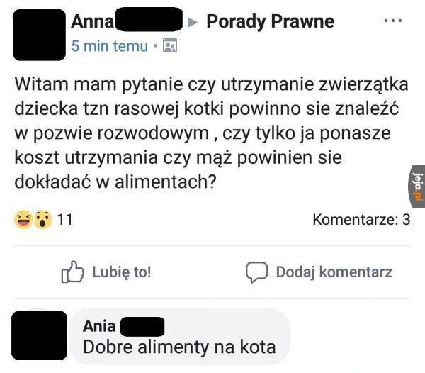 No a czemu nie?