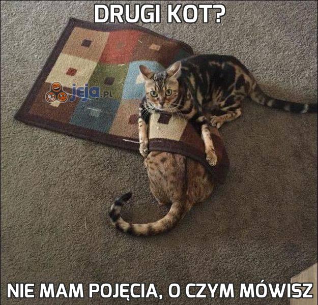 Drugi kot?