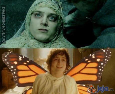 Frodo motylek