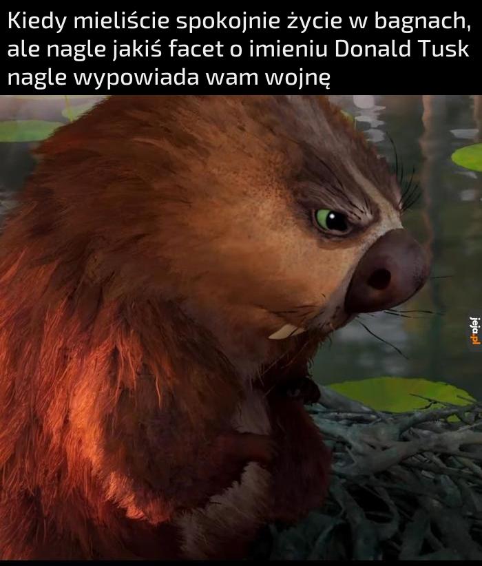 Boberzy nie zginią dopóki oni żyją