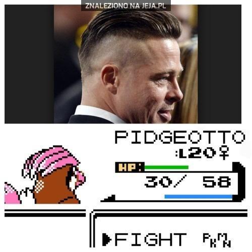 Dziki Pidgeotto!