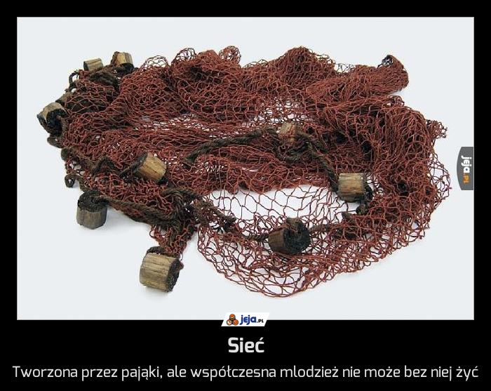 Sieć