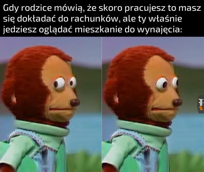 Oczywiście
