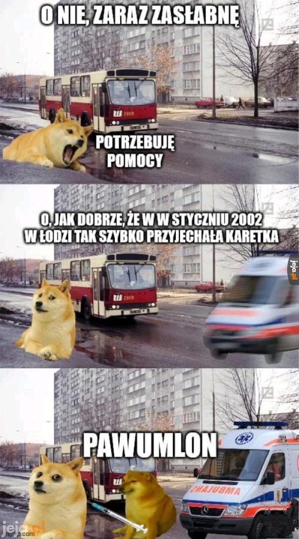 Pawulonik