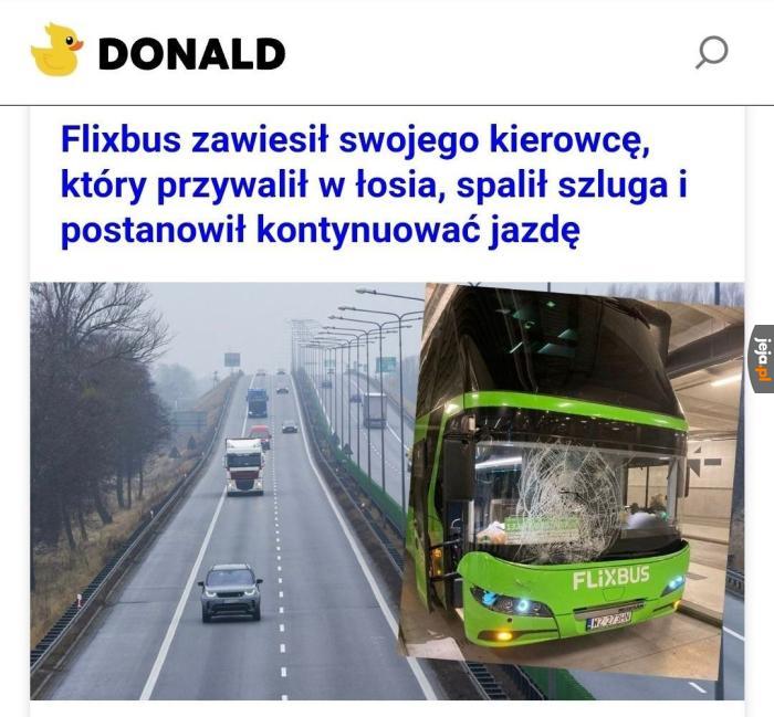 Ale jaki jest powód zwolnienia?