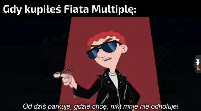 Mam immunitet samochodowy