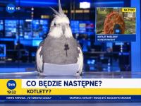 komentarz obrazkowy