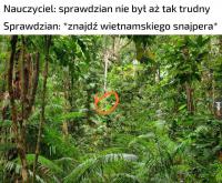 komentarz obrazkowy