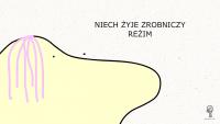 komentarz obrazkowy