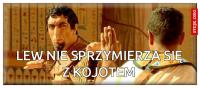 komentarz obrazkowy