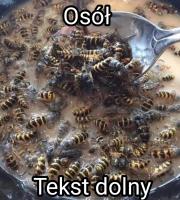 komentarz obrazkowy