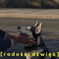 komentarz obrazkowy
