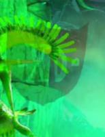 komentarz obrazkowy