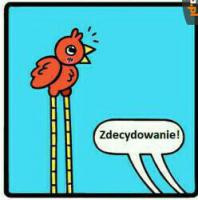 komentarz obrazkowy