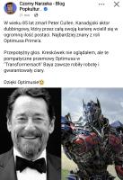 komentarz obrazkowy