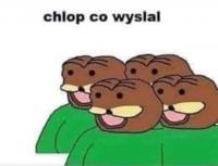 komentarz obrazkowy