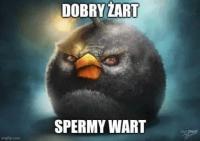 komentarz obrazkowy