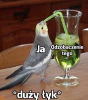 komentarz obrazkowy
