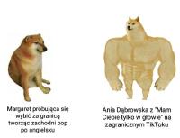 komentarz obrazkowy