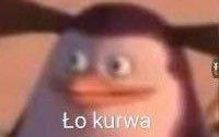 komentarz obrazkowy
