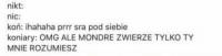 komentarz obrazkowy