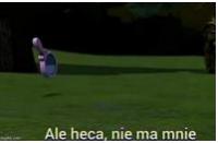 komentarz obrazkowy
