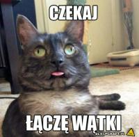 komentarz obrazkowy
